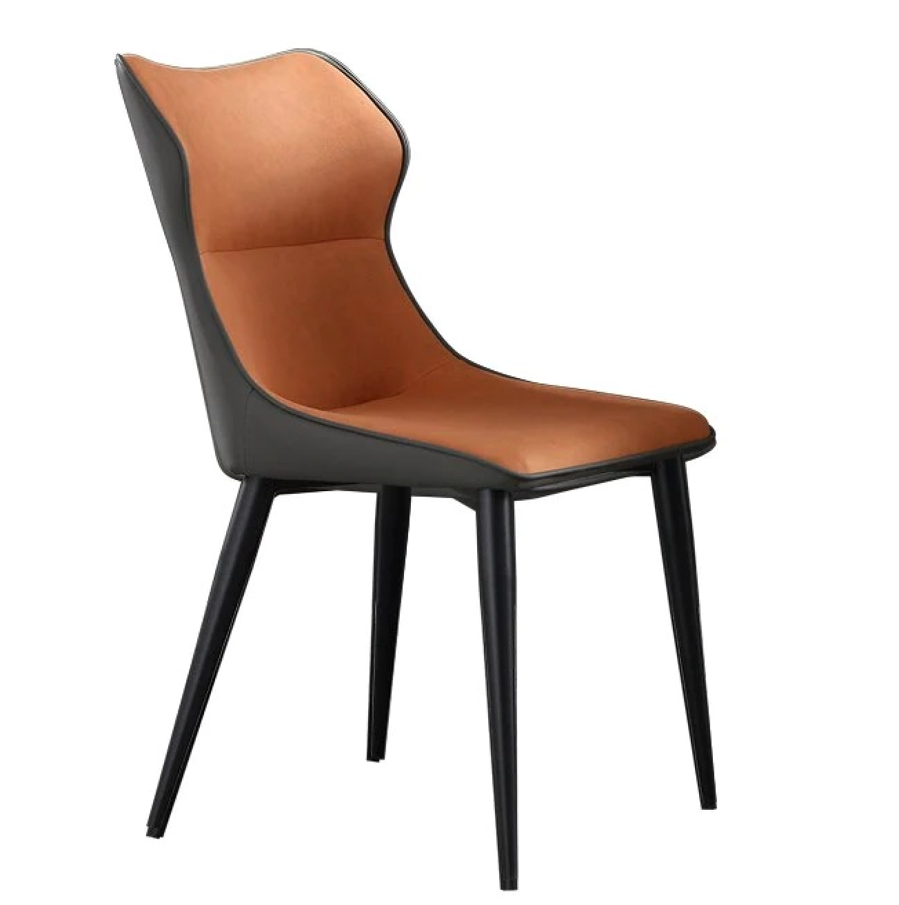 Designer Dining Chairs, Home Furniture