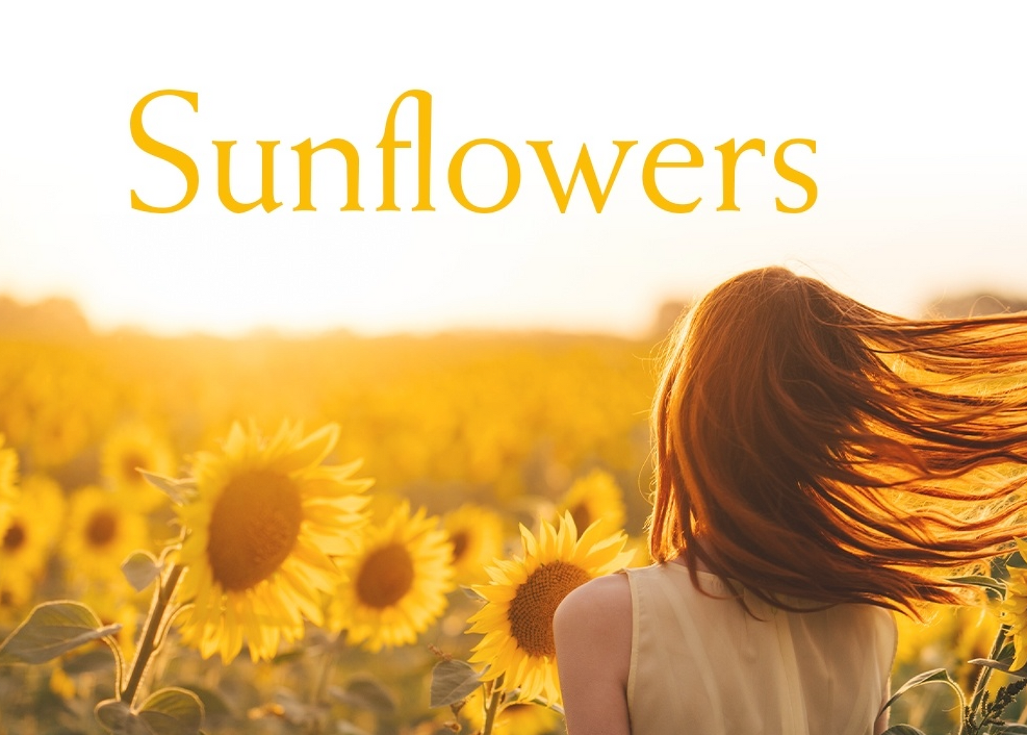 Sunflowers Elizabeth Arden eau de toilette 100ml