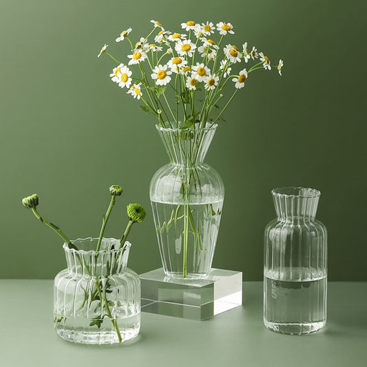 Transparent Glass Vase